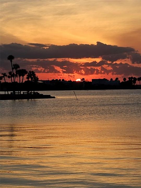 В аренду: $1,100 (1 спален, 1 ванн, 570 Квадратных фут)