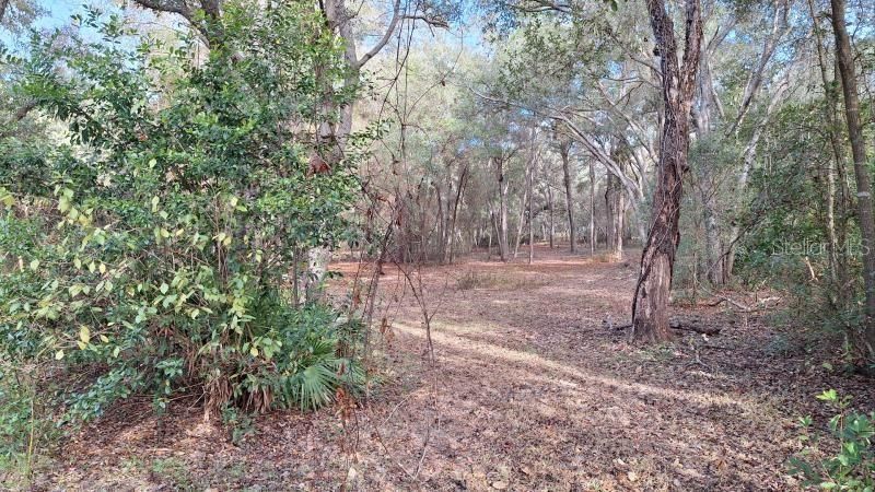 待售: $329,900 (3 贝兹, 2 浴室, 1544 平方英尺)