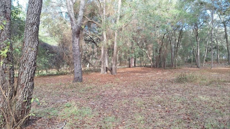 待售: $329,900 (3 贝兹, 2 浴室, 1544 平方英尺)