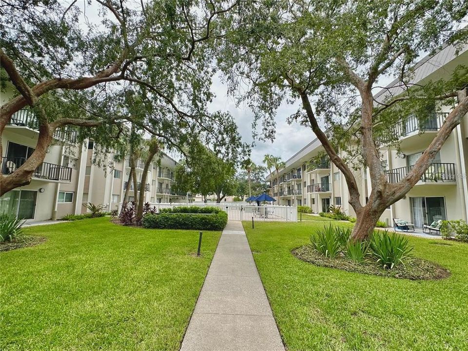 En Renta: $1,500 (1 camas, 1 baños, 667 Pies cuadrados)