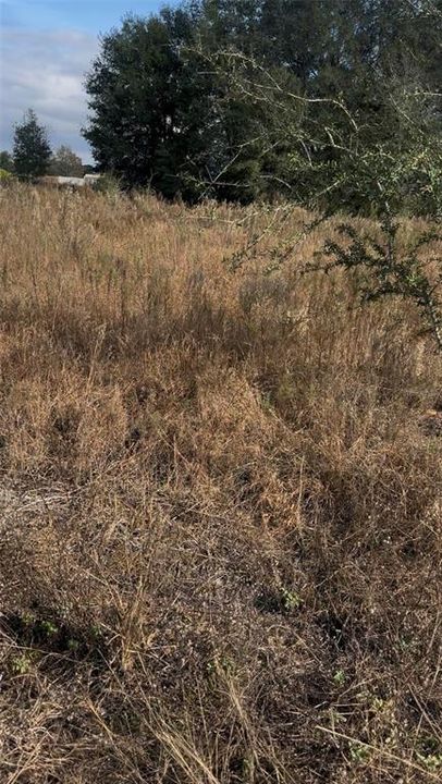 For Sale: $52,000 (0.47 acres)