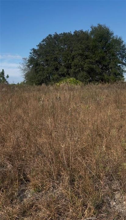 For Sale: $52,000 (0.47 acres)