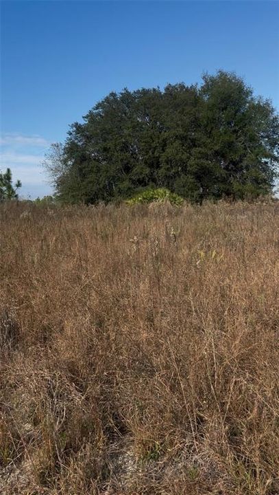 For Sale: $52,000 (0.47 acres)