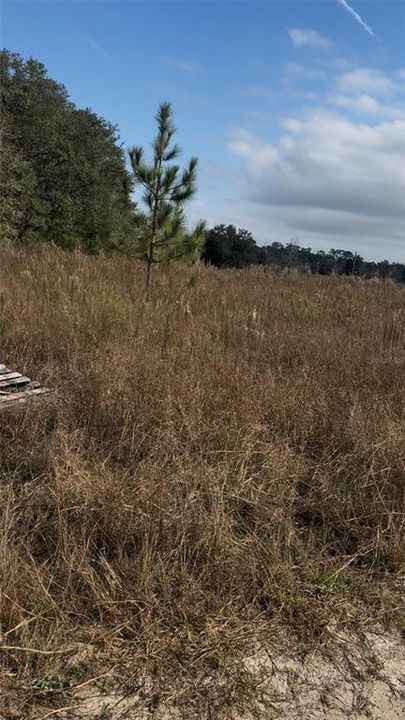 For Sale: $52,000 (0.47 acres)