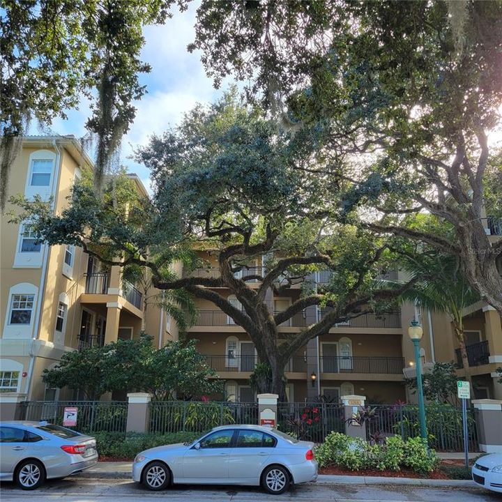 En Renta: $2,400 (2 camas, 2 baños, 1122 Pies cuadrados)