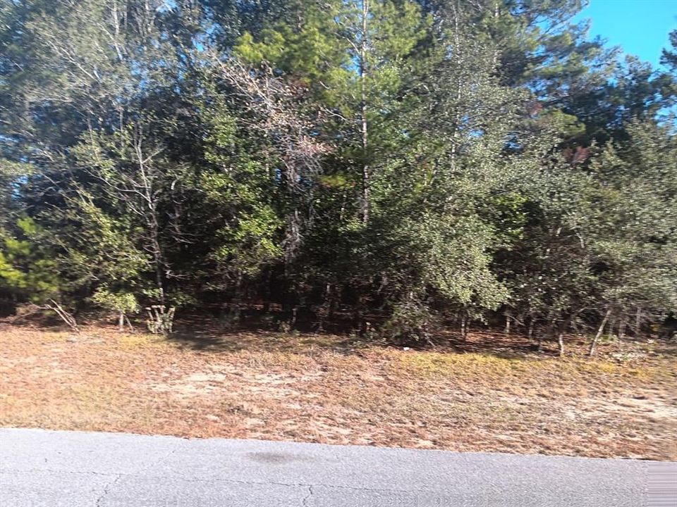 En Venta: $25,000 (0.23 acres)