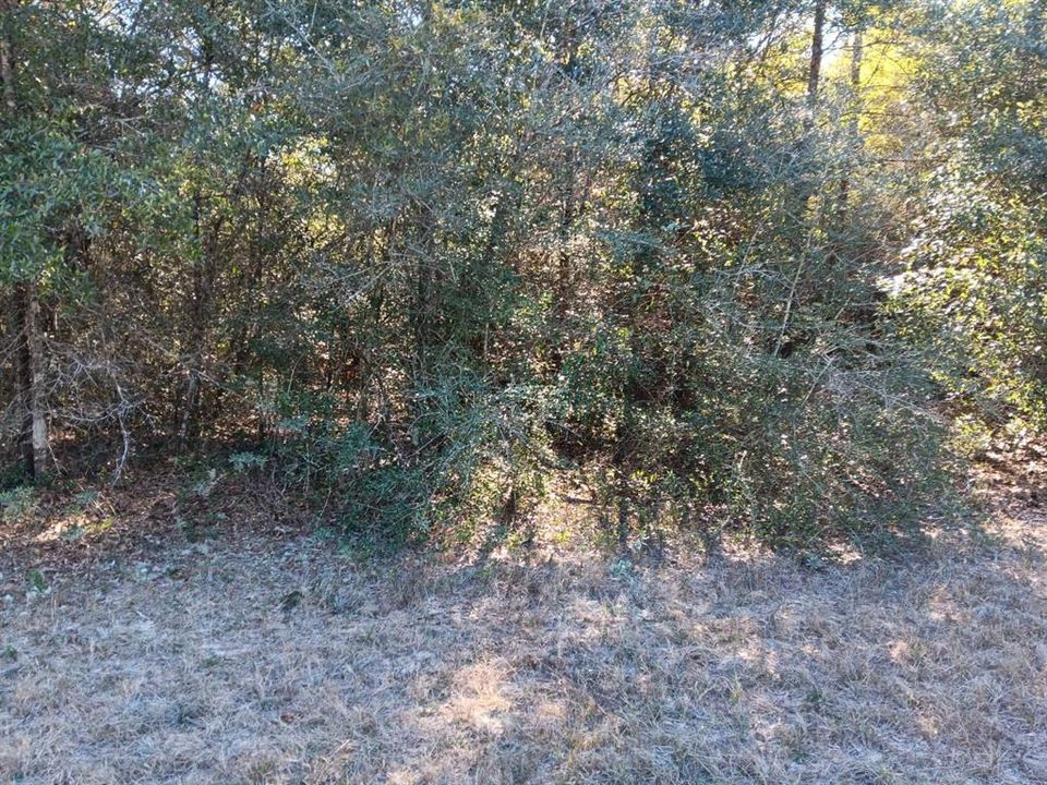 En Venta: $25,000 (0.28 acres)