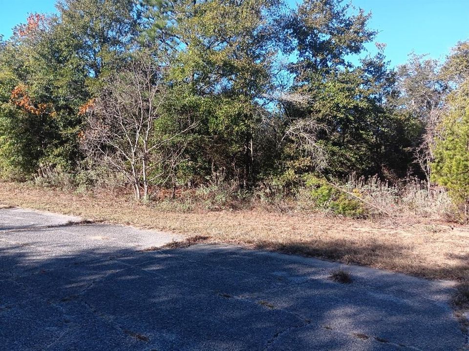 En Venta: $25,000 (0.28 acres)