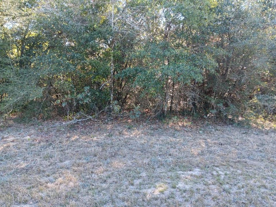 En Venta: $25,000 (0.28 acres)