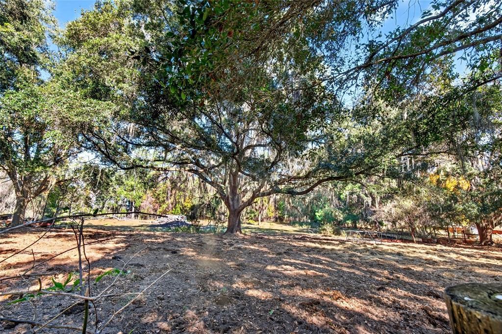 For Sale: $799,900 (3 beds, 2 baths, 2076 Square Feet)