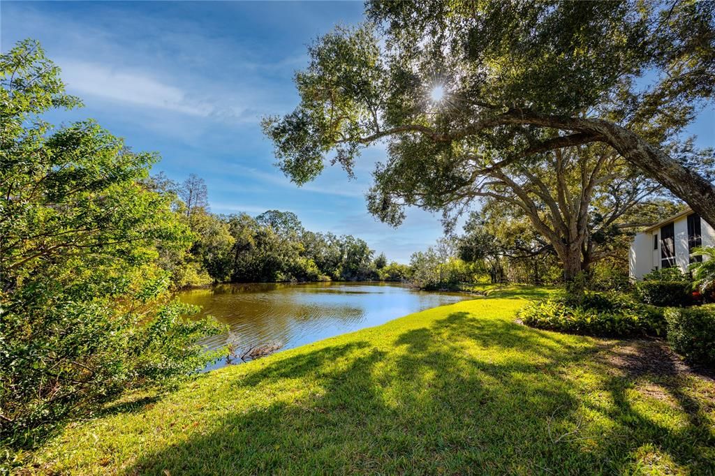 В аренду: $1,795 (2 спален, 2 ванн, 1054 Квадратных фут)