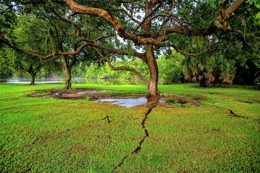 В аренду: $1,795 (2 спален, 2 ванн, 1054 Квадратных фут)