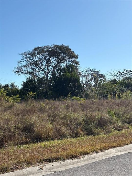 待售: $40,000 (0.72 acres)