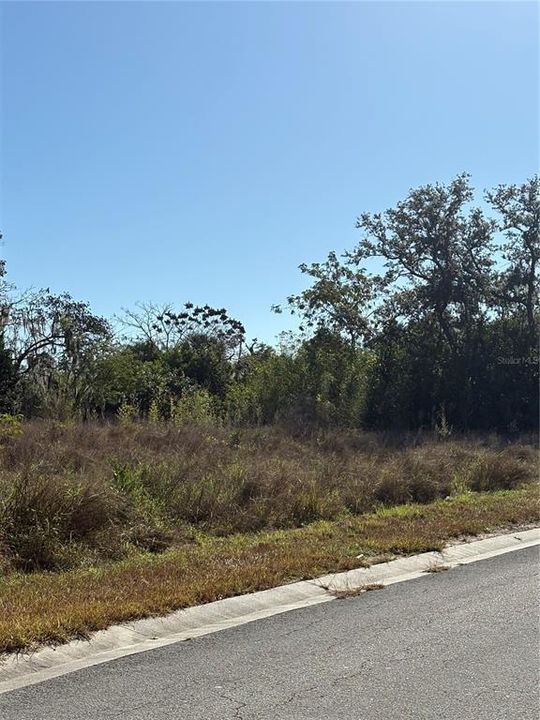 待售: $40,000 (0.72 acres)