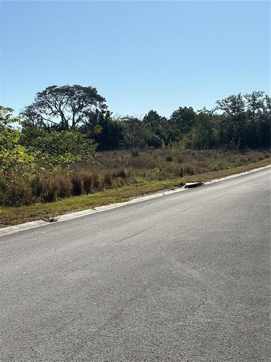 待售: $40,000 (0.72 acres)