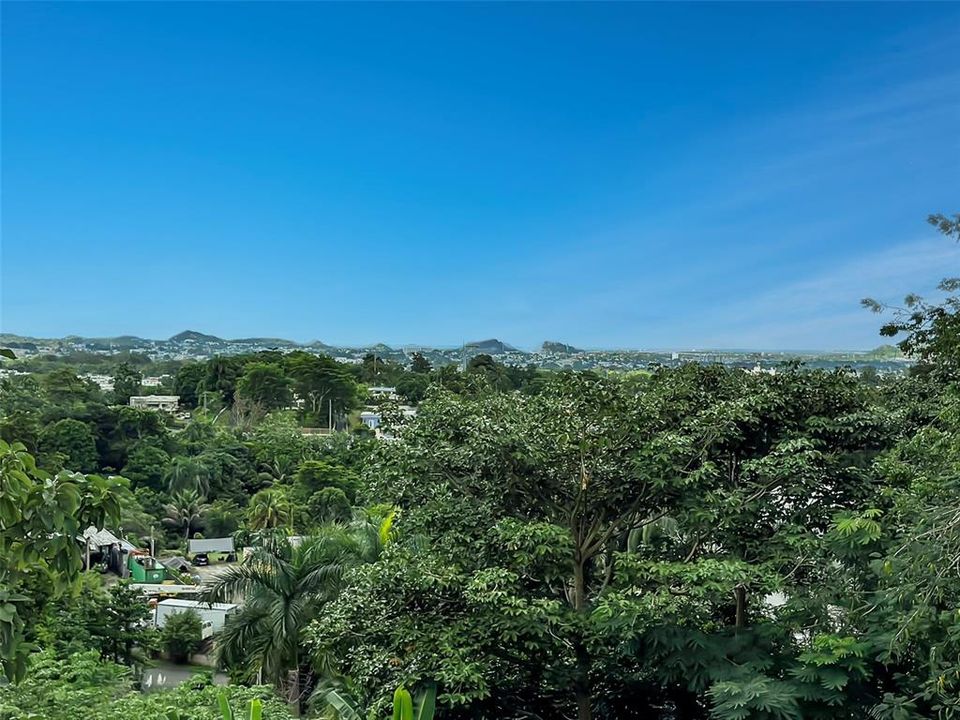 For Sale: $985,000 (4 beds, 5 baths, 3976 Square Feet)