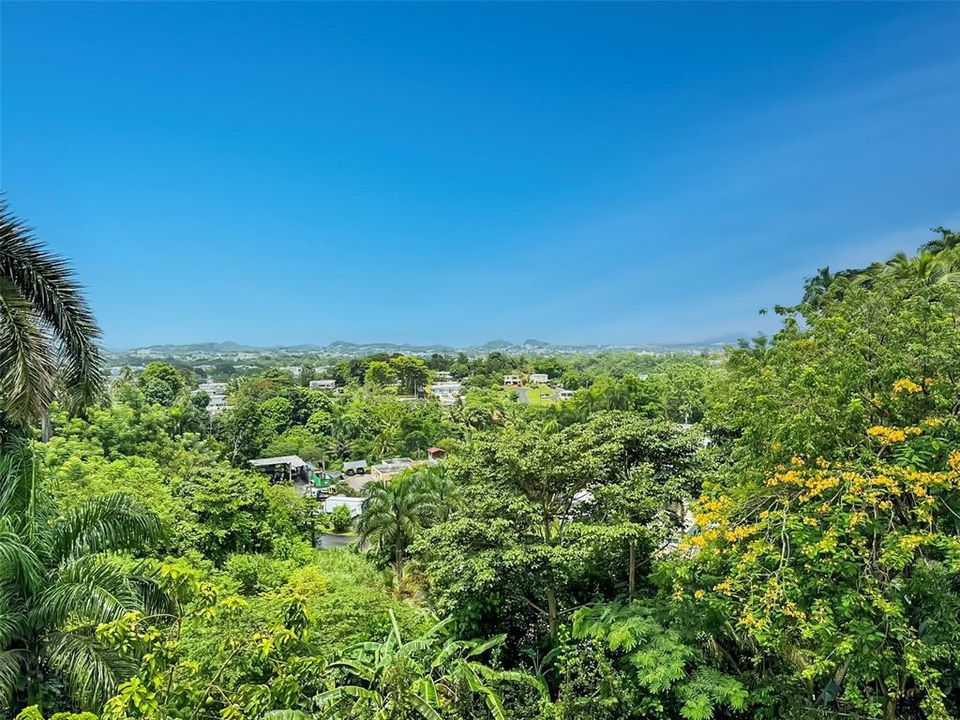 For Sale: $985,000 (4 beds, 5 baths, 3976 Square Feet)