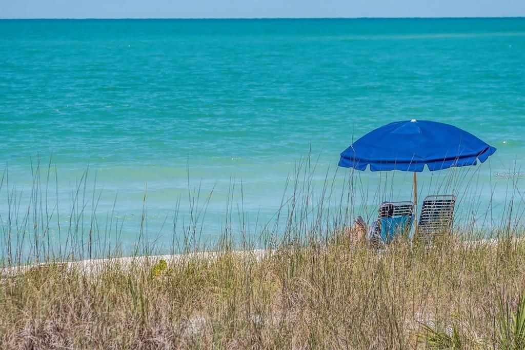 待售: $849,000 (1 贝兹, 1 浴室, 730 平方英尺)