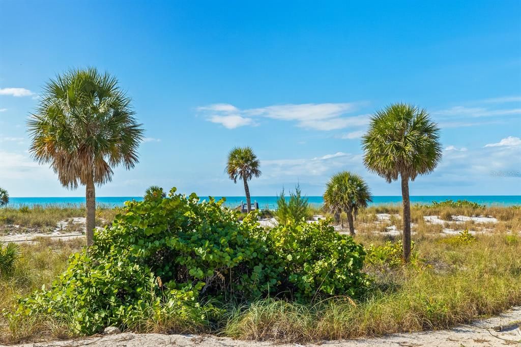 待售: $849,000 (1 贝兹, 1 浴室, 730 平方英尺)