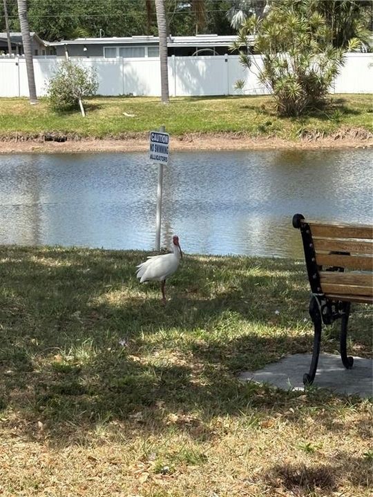 En Venta: $140,000 (2 camas, 1 baños, 849 Pies cuadrados)