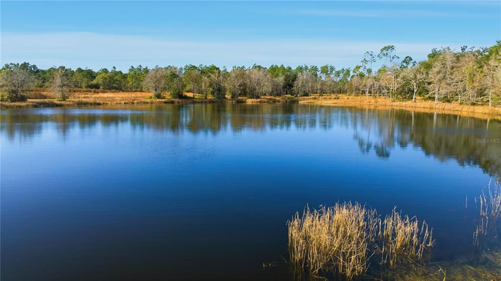 待售: $564,500 (22.58 acres)