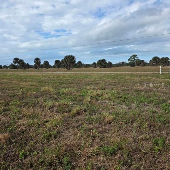 For Sale: $39,000 (0.17 acres)