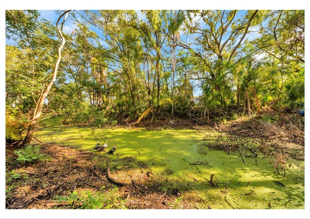 For Sale: $399,000 (0.85 acres)