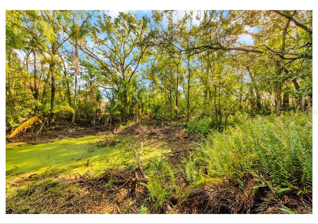 For Sale: $399,000 (0.85 acres)