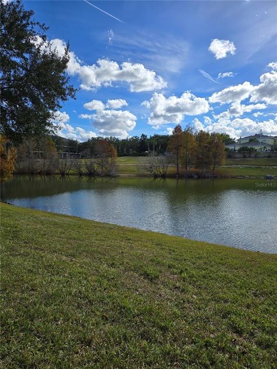 На продажу: $205,000 (2 спален, 2 ванн, 1173 Квадратных фут)