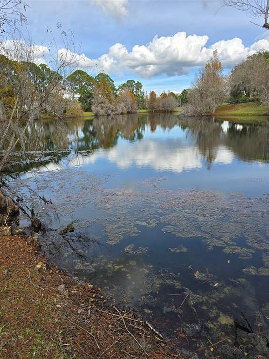 На продажу: $205,000 (2 спален, 2 ванн, 1173 Квадратных фут)