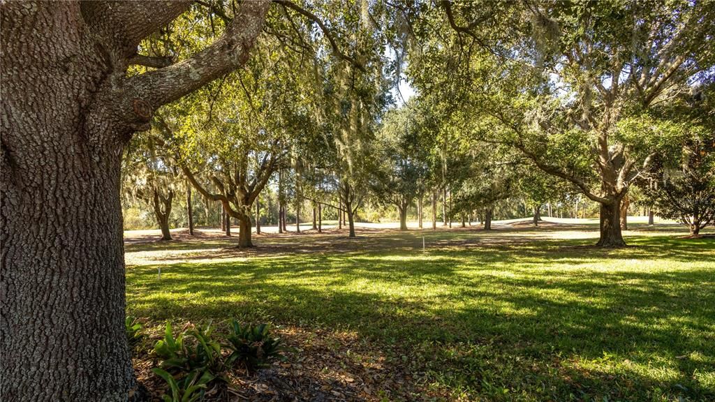 待售: $370,000 (3 贝兹, 2 浴室, 1942 平方英尺)