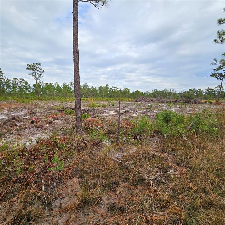 待售: $49,000 (1.00 acres)