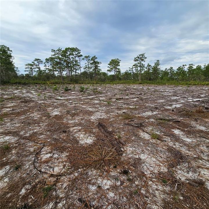 待售: $49,000 (1.00 acres)