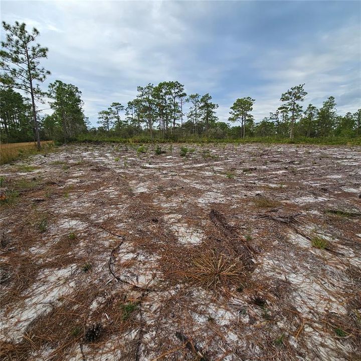 待售: $49,000 (1.00 acres)