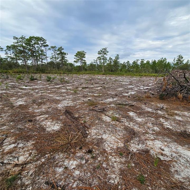 待售: $49,000 (1.00 acres)