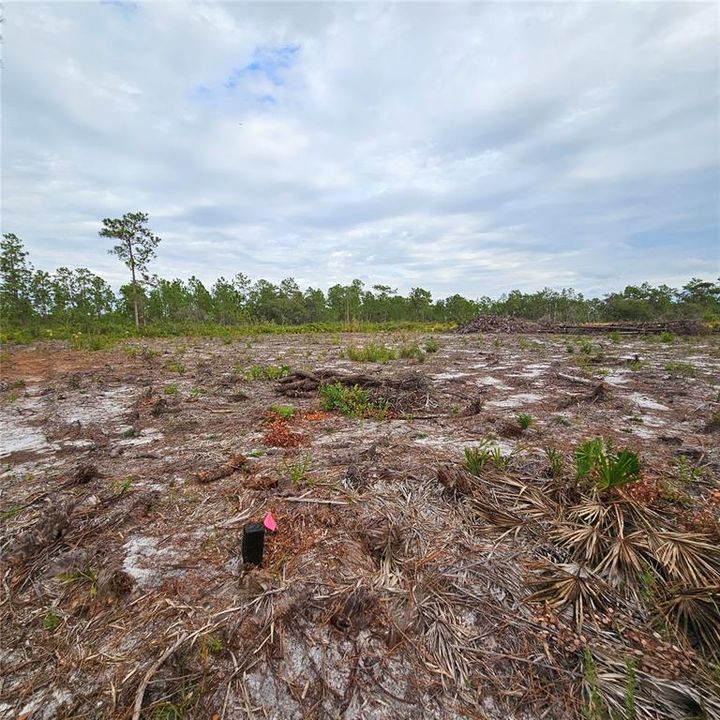 待售: $49,000 (1.00 acres)