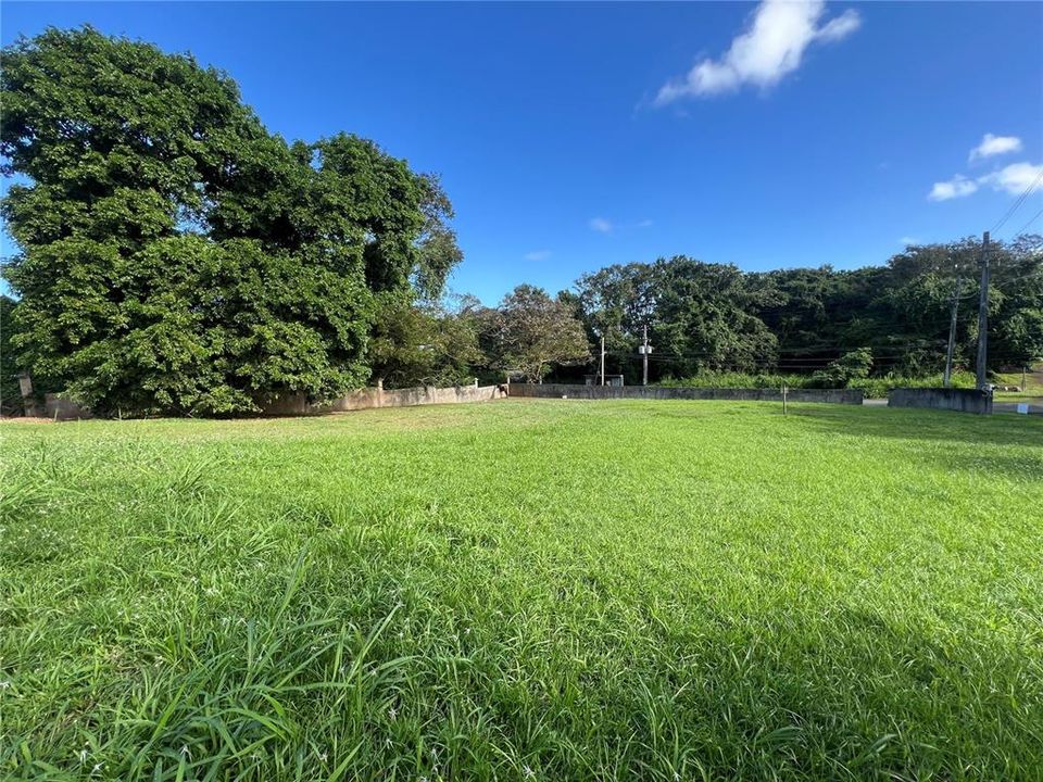 For Sale: $95,000 (31.00 acres)