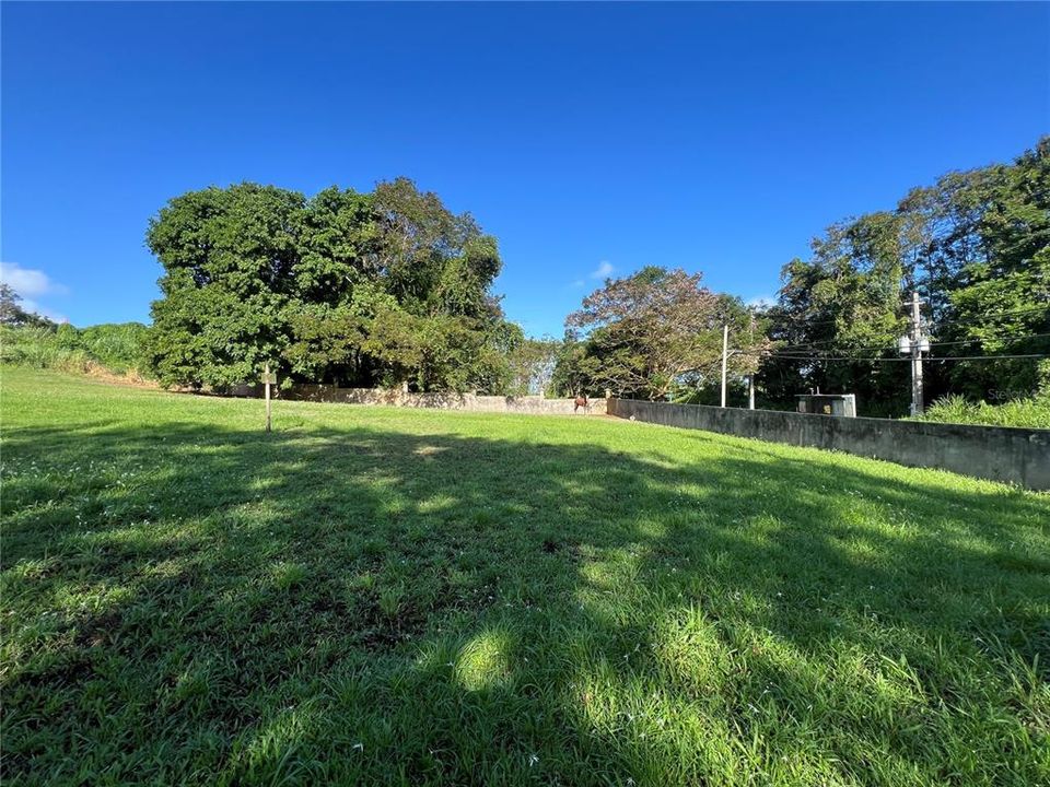 For Sale: $95,000 (31.00 acres)