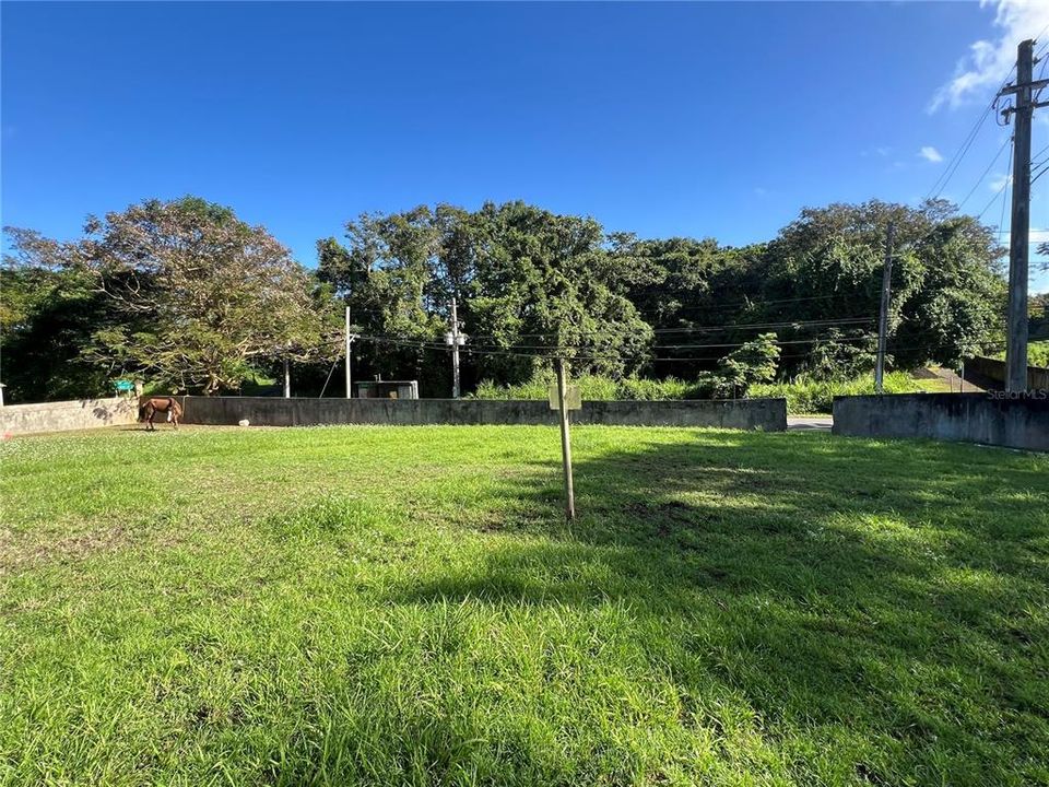 For Sale: $95,000 (31.00 acres)