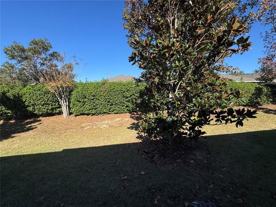 На продажу: $279,900 (2 спален, 2 ванн, 1374 Квадратных фут)