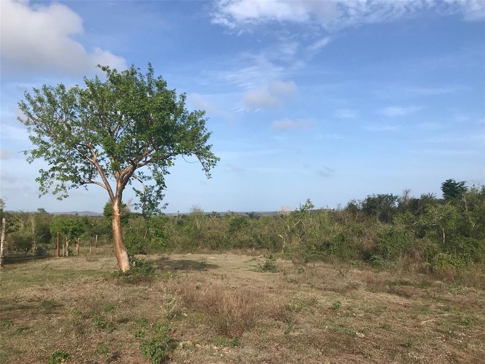 待售: $325,000 (3.91 acres)