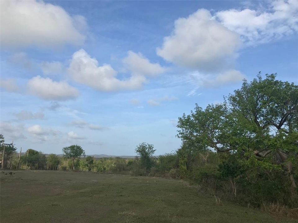 待售: $325,000 (3.91 acres)