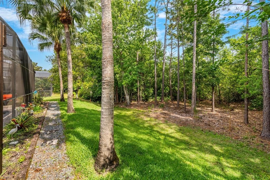 待售: $610,000 (5 贝兹, 3 浴室, 3493 平方英尺)