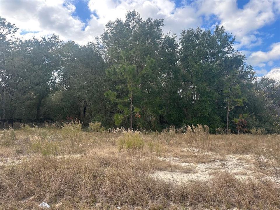 En Venta: $19,500 (0.30 acres)