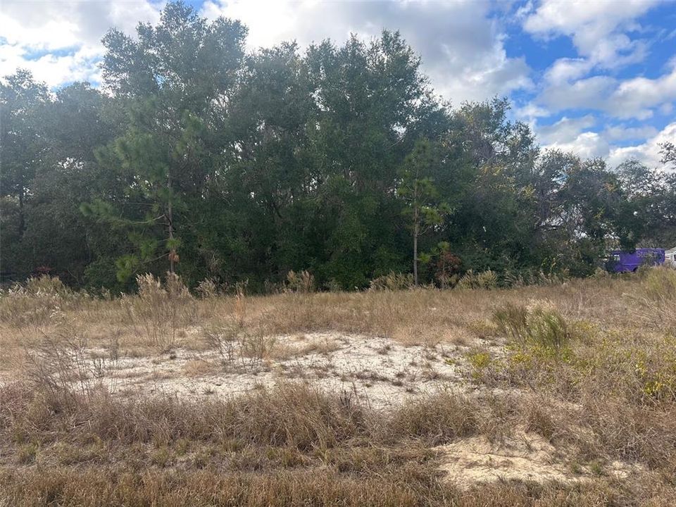 En Venta: $19,500 (0.30 acres)