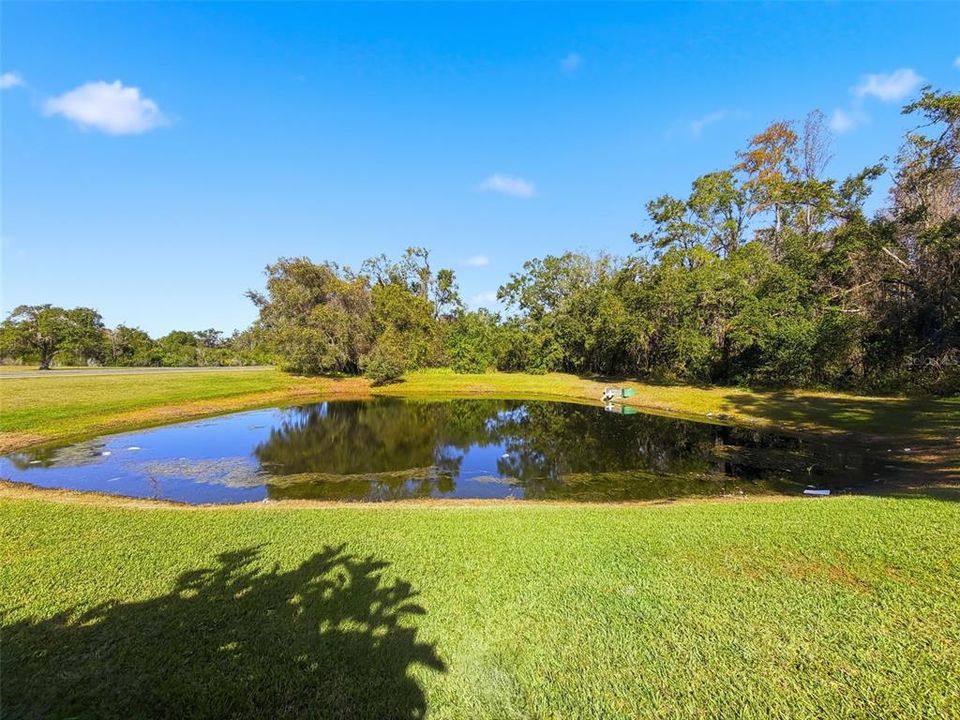 For Sale: $380,000 (4 beds, 2 baths, 1399 Square Feet)