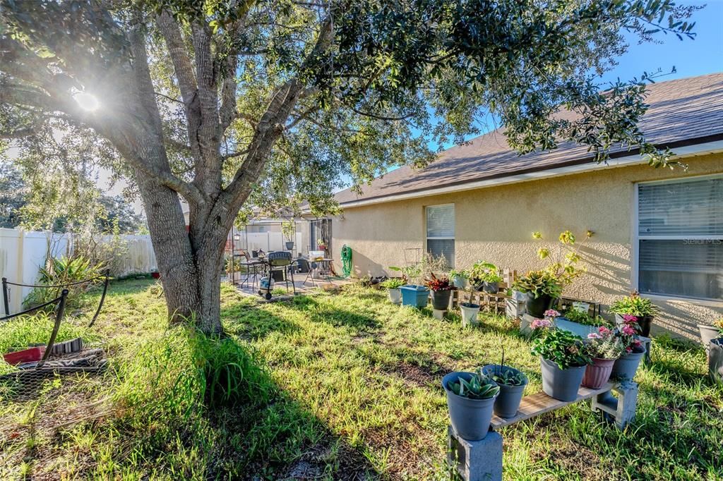 For Sale: $310,000 (3 beds, 2 baths, 1809 Square Feet)