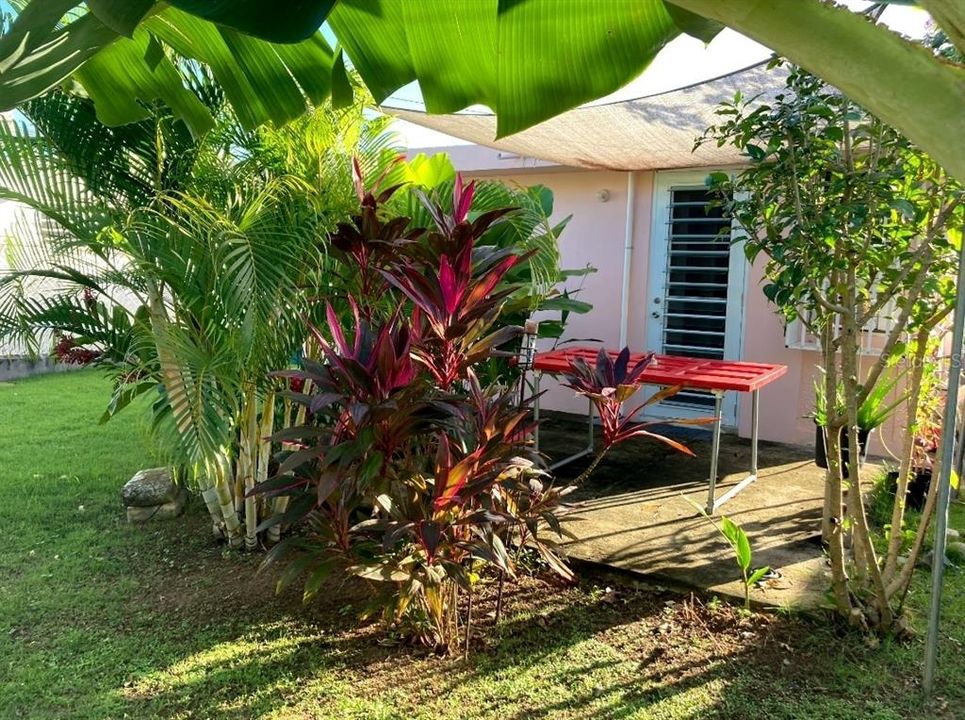 For Sale: $290,000 (3 beds, 2 baths, 4900 Square Feet)