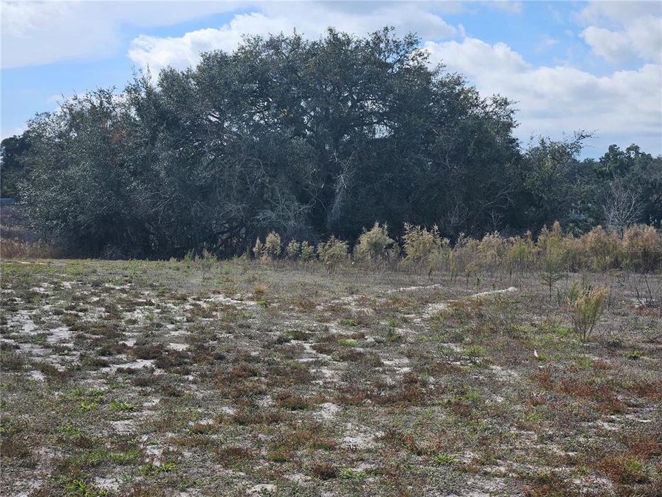 待售: $35,000 (0.40 acres)