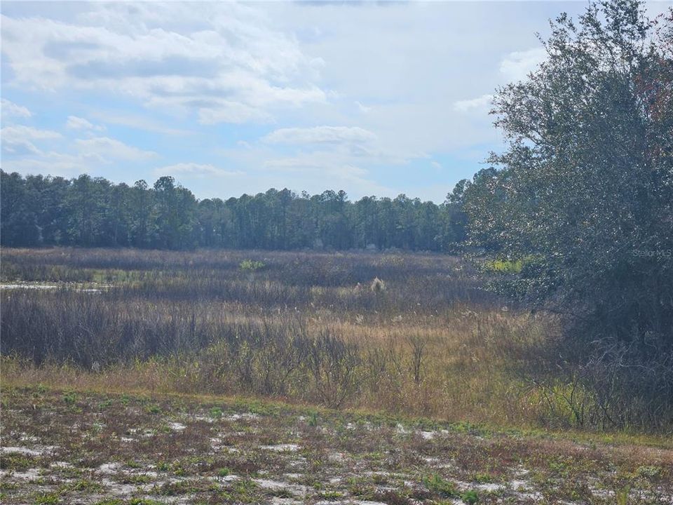 待售: $35,000 (0.40 acres)